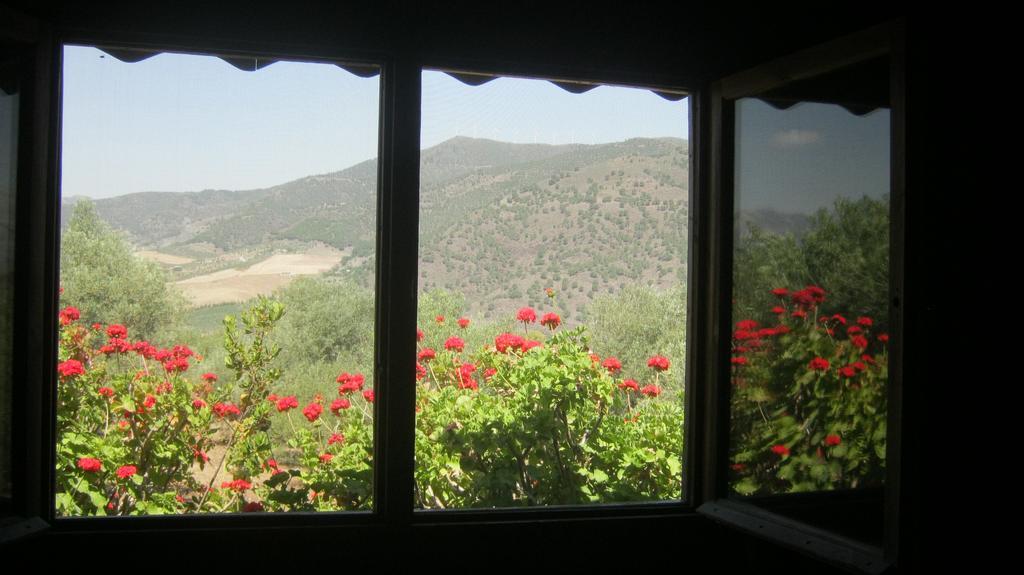 Finca La Piedra Holidays Alora Room photo