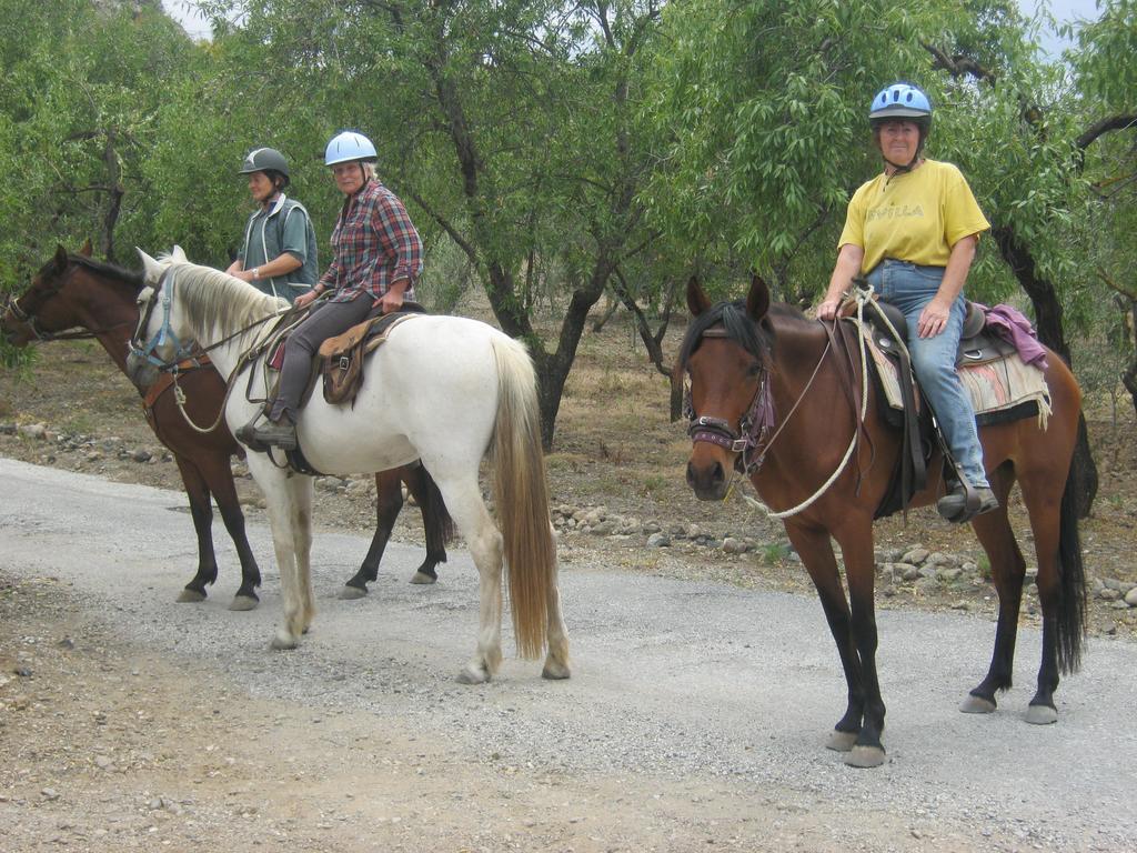 Finca La Piedra Holidays Alora Exterior photo